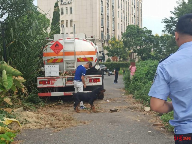 狗绳拉得越紧守护意识就越强：母女俩小区散步遭烈性犬严重咬伤